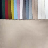 Eco-friendly Tencel Twill Fabric